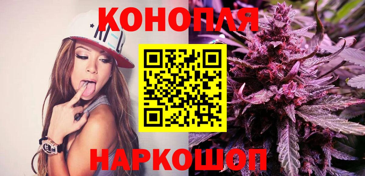 Бошки марихуана планчик Чистополь